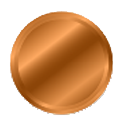 Bronze Member